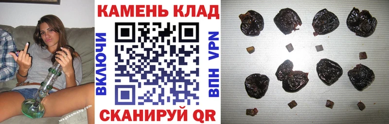 ГАШ VHQ  Нестеровская 