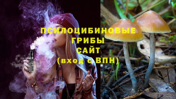 PSILOCYBIN Медвежьегорск
