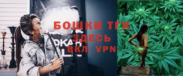 PSILOCYBIN Медвежьегорск